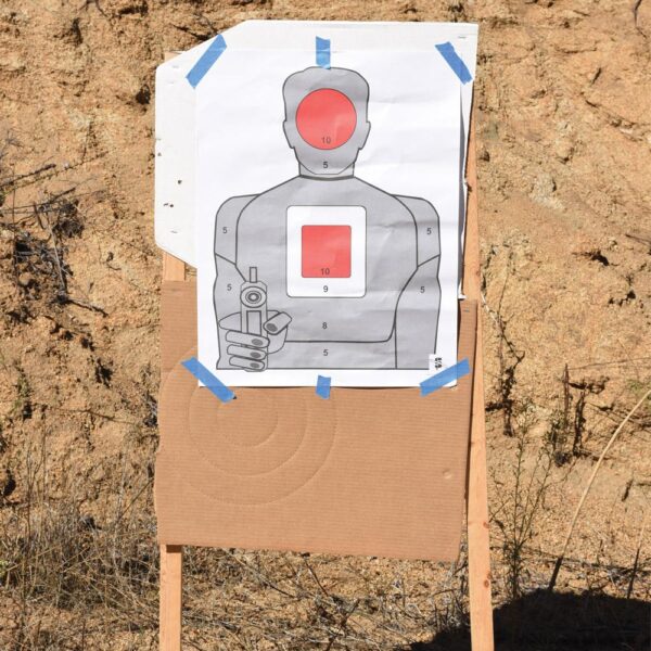 Birchwood Casey Metal Target Stand with Spike 24" - Precision Shot Firearms