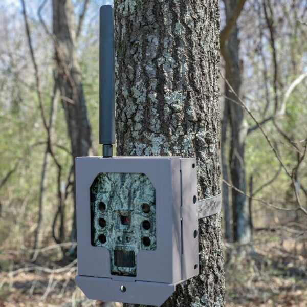 Bushnell Camera Security Box For (Cellular) CelluCore Models SD - Tan - Precision Shot Firearms