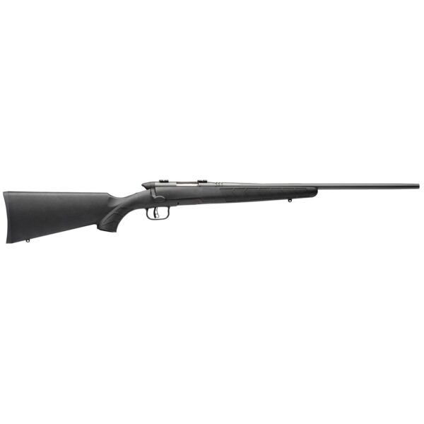 Savage Arms B.Mag Rifle 17 WSM 8/rd Magazine 22" Barrel Black - Precision Shot Firearms