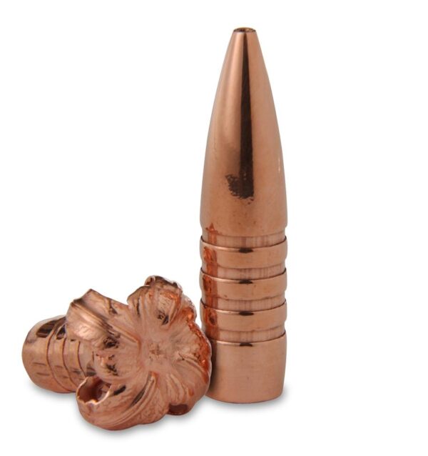 Barnes TSX Bullets .458 cal .458" 300 gr FB 20/ct - Precision Shot Firearms