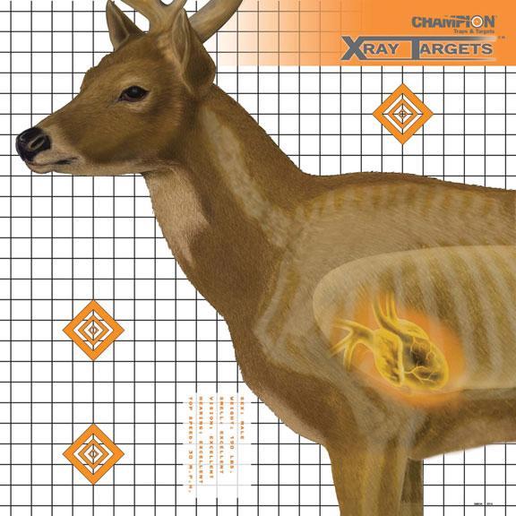 Champion X-Ray Paper Target - Deer Target 25"x25" (6-Pack) - Precision Shot Firearms