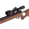 DIANA Two-Fifty Air Rifle .22 Cal 4.5mm - 24 Joule Gas Spring Scoped Combo - Precision Shot Firearms