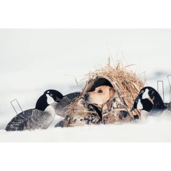 Rig 'Em Right Field Bully Dog Blind Optifade Marsh - Precision Shot Firearms