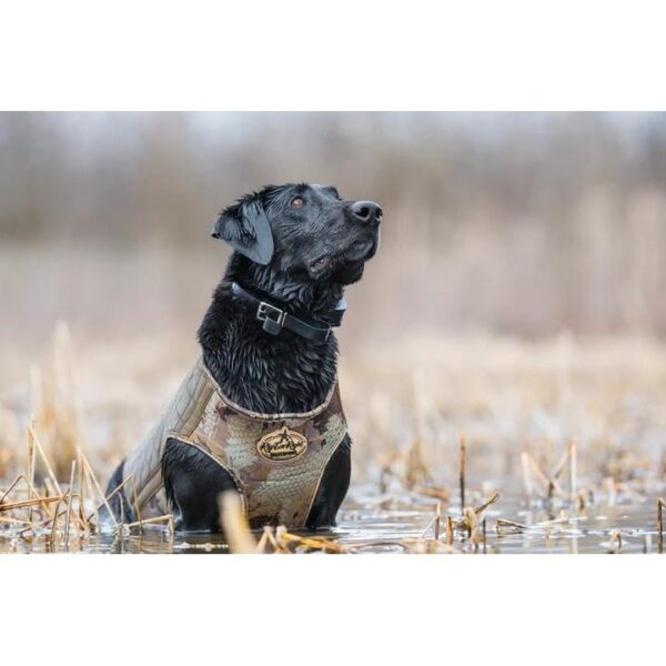 Rig 'Em Right Bloodline Elite Dog Vest Optifade Timber M - Precision Shot Firearms