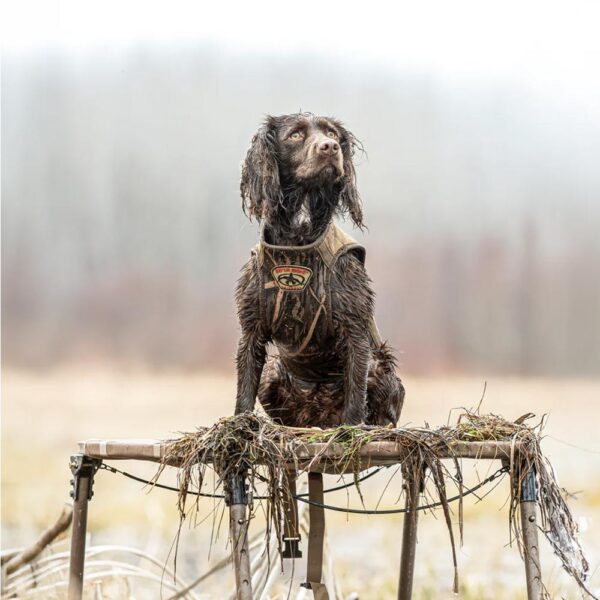 Rig Em Right Swamp Bully Dog Stand - Precision Shot Firearms