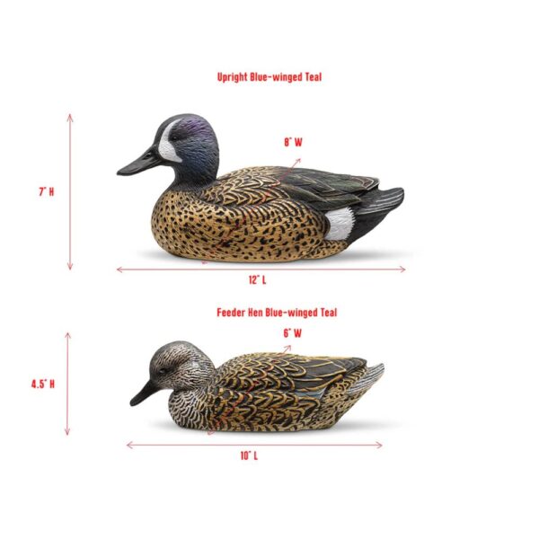 Rig Em Right Mainline Series Blue-Winged Teal Duck Decoy 12/ct - Precision Shot Firearms