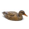 Rig 'Em Right Mainline Series Mallard Decoy 6/ct - Precision Shot Firearms