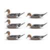 Rig 'Em Right Mainline Series Pintail Duck Decoy 6/ct - Precision Shot Firearms