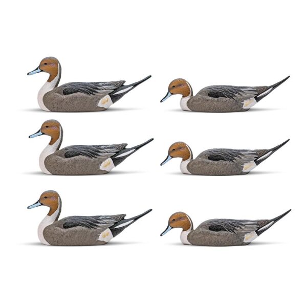 Rig 'Em Right Mainline Series Pintail Duck Decoy 6/ct - Precision Shot Firearms