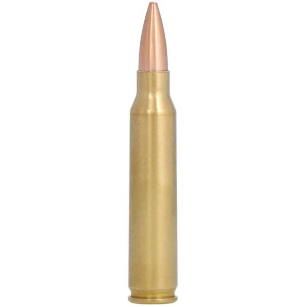 Federal Premium Gold Medal Sierra MatchKing Rifle Ammunition .223 Rem 69 gr BTHP 2950 fps - 20/ct - Precision Shot Firearms