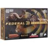 Federal Premium Cape-Shok Rifle Ammunition .416 Rigby 400 gr SAF 2400 fps - 20/ct - Precision Shot Firearms