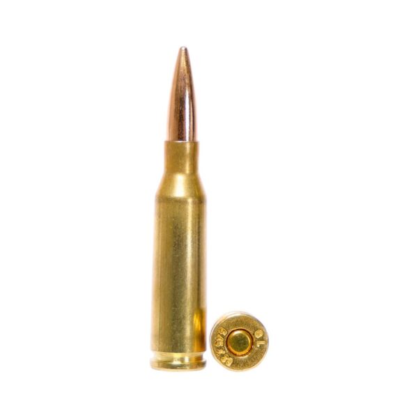 Global Ordnance Rifle Ammunition 5.45x39mm 55gr FMJ 2854 fps 30/ct - Precision Shot Firearms