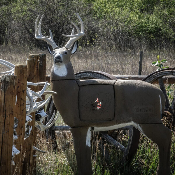 GlenDel Pre-Rut Buck w/ 4-Sided Insert - Precision Shot Firearms