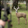 GlenDel Full-Rut Buck w/4-Sided Insert - Precision Shot Firearms