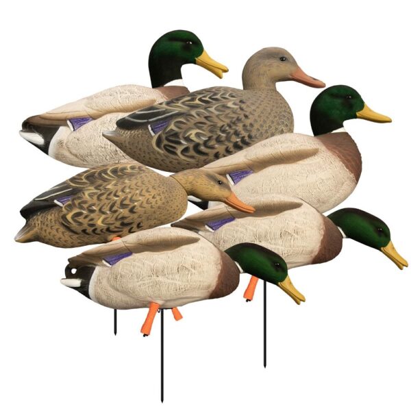 Higdon Outdoors Magnum Full Body Mallard Variety Pack Flocked Heads 6pk - Precision Shot Firearms