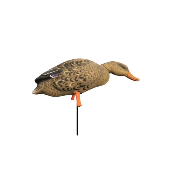 Higdon Outdoors Magnum Full Body Mallard Variety Pack Flocked Heads 6pk - Precision Shot Firearms