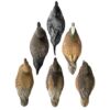 Higdon Outdoors Battleship Puddle Pack with 2/ct Pintails 2/ct Gadwalls 2/ct Widgeons - Precision Shot Firearms