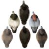 Higdon Outdoors Standard Diver Pk 2 Bluebill 2 Red Heads 2 Ring necks - Precision Shot Firearms