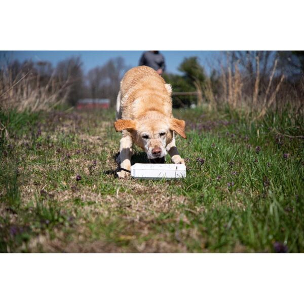 MOmarsh Mark Dog Training Bumper Medium White - Precision Shot Firearms