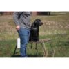 MOmarsh Mark Dog Training Bumper Medium White - Precision Shot Firearms