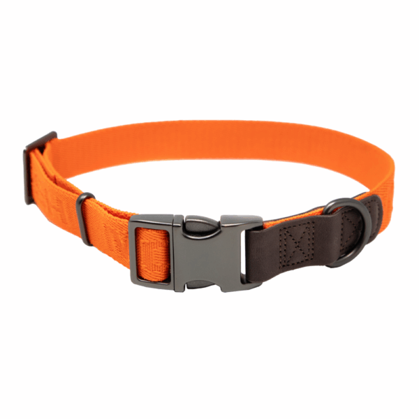 MoMarsh Adjustable Dog Collar 15"-23" Hunter Orange - Precision Shot Firearms