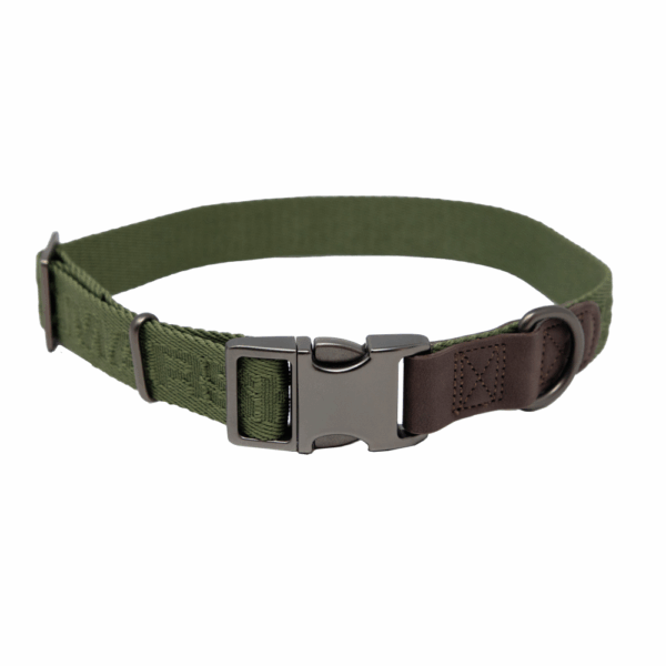 MoMarsh Adjustable Dog Collar 15"-23" Cypress Green - Precision Shot Firearms