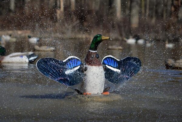 Higdon Outdoors XS Splashing Flasher Mallard Drake Moving Decoy 12V with Timer - Precision Shot Firearms