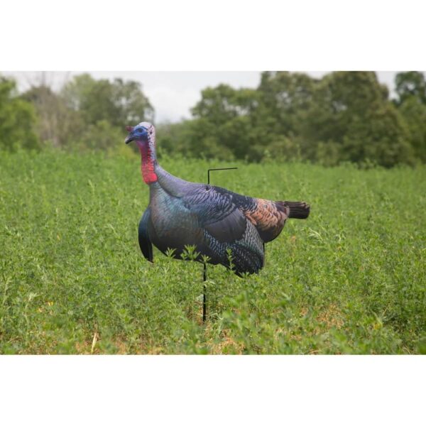Higdon Flex Turkey Decoy Upright Tom Silhouette - Precision Shot Firearms