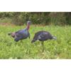 Higdon Flex Turkey Decoy Combo Tom and Hen Silhouette - Precision Shot Firearms