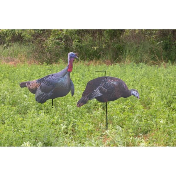 Higdon Flex Turkey Decoy Combo Tom and Hen Silhouette - Precision Shot Firearms