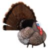 Higdon Outdoors Apex Strutter Hard Body Turkey - Precision Shot Firearms
