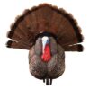 Higdon Outdoors Apex Strutter Hard Body Turkey - Precision Shot Firearms