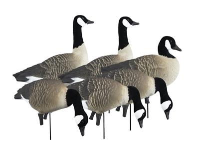 Higdon Outdoors APEX Full-Size Full-Body Variety Pack - Canada Goose - Precision Shot Firearms