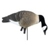Higdon Outdoors APEX Full-Size Full-Body Variety Pack - Canada Goose - Precision Shot Firearms