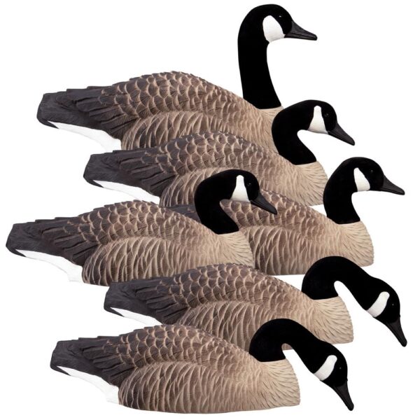 Higdon Outdoors Magnum Half Shell Canada 6pk - Precision Shot Firearms