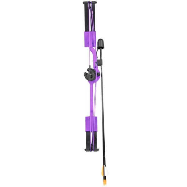 Bear Archery Compound Youth Bow Brave 25lb Right Hand Purple - Precision Shot Firearms