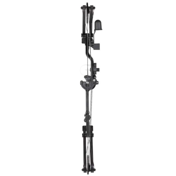 Bear Archery Compound Bow Pathfinder 29lb Black - Precision Shot Firearms