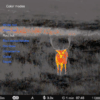 Pulsar Thermion 2 LRF XG50 Thermal Rifle Scope - Black - Precision Shot Firearms