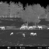 Pulsar Thermal Imaging Monocular Telos LRF XP50 - Precision Shot Firearms