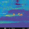 Pulsar Thermal Imaging Monocular Telos LRF XP50 - Precision Shot Firearms