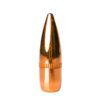 Berry's Rifle Bullets .223/5.56mm .224" 62 gr FMJ-BT 1500/ct - Precision Shot Firearms