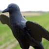 MOJO Motion Decoy Crow Decoy - Precision Shot Firearms