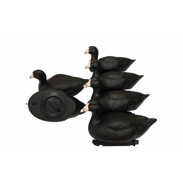 Mojo Coot Confidence Decoys 6/ct - Precision Shot Firearms