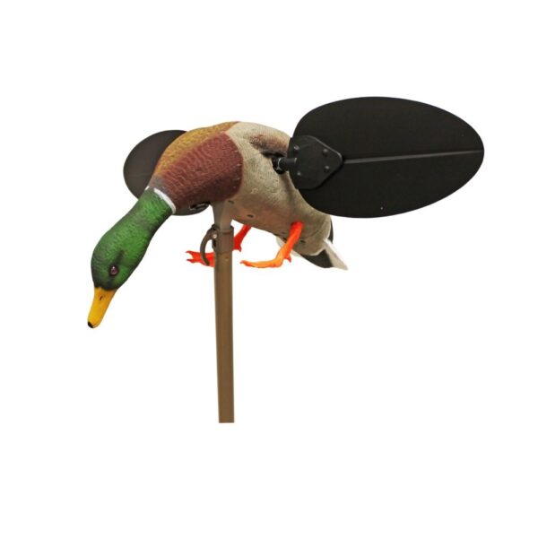 MOJO Mallard Drake Decoy - Precision Shot Firearms