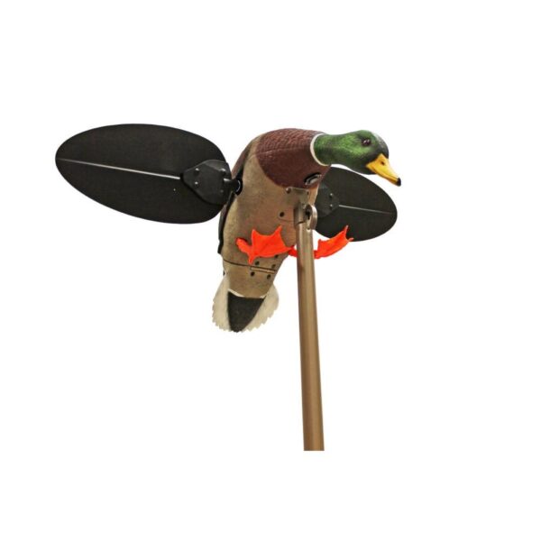 MOJO Mallard Drake Decoy - Precision Shot Firearms