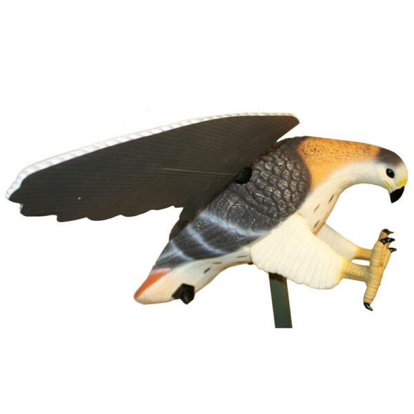 Mojo Hawk Predator Decoy - Precision Shot Firearms