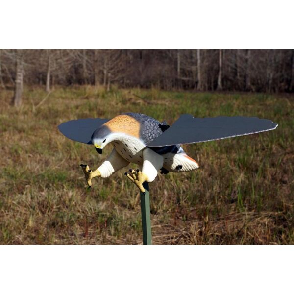 Mojo Hawk Predator Decoy - Precision Shot Firearms
