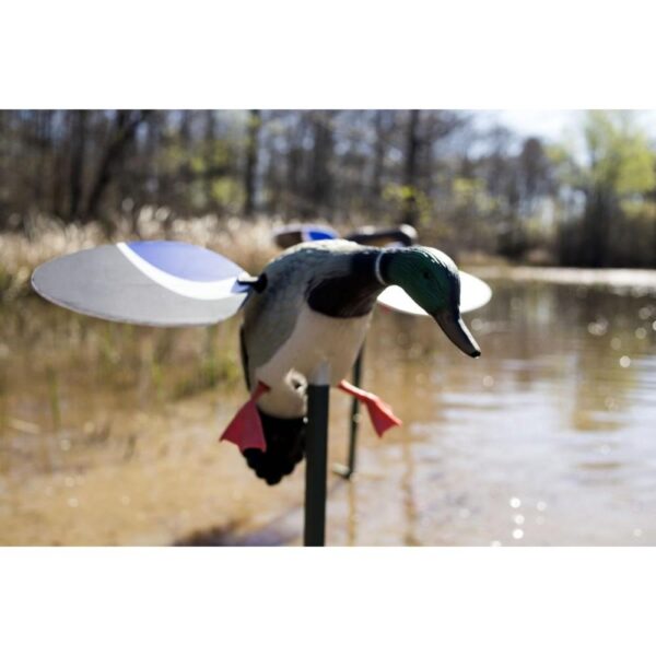 Mojo Baby Ballard Spinning Wing Decoy Drake - Precision Shot Firearms