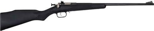 Crickett "My First Rifle" .22 LR 16" Barrel Synthetic Stock- Black - Precision Shot Firearms