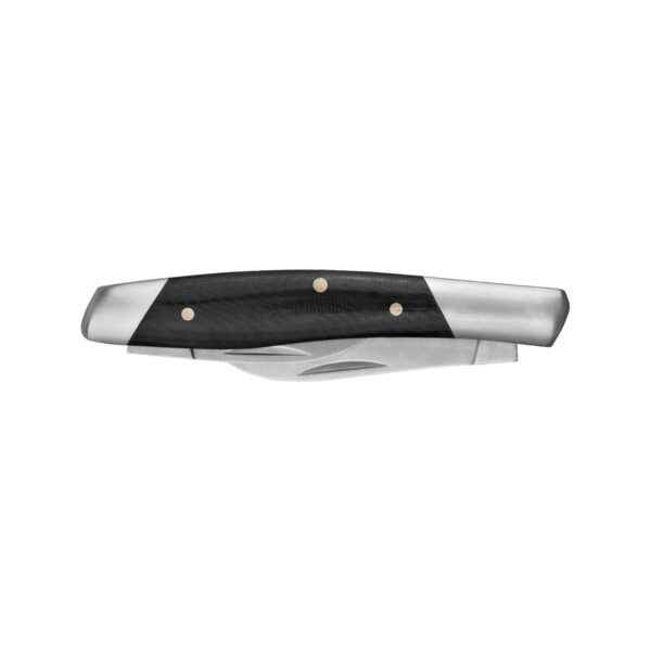 Kershaw Iredale Folding Pocketknife 2 3/5" Clip Point Blade Black - Precision Shot Firearms
